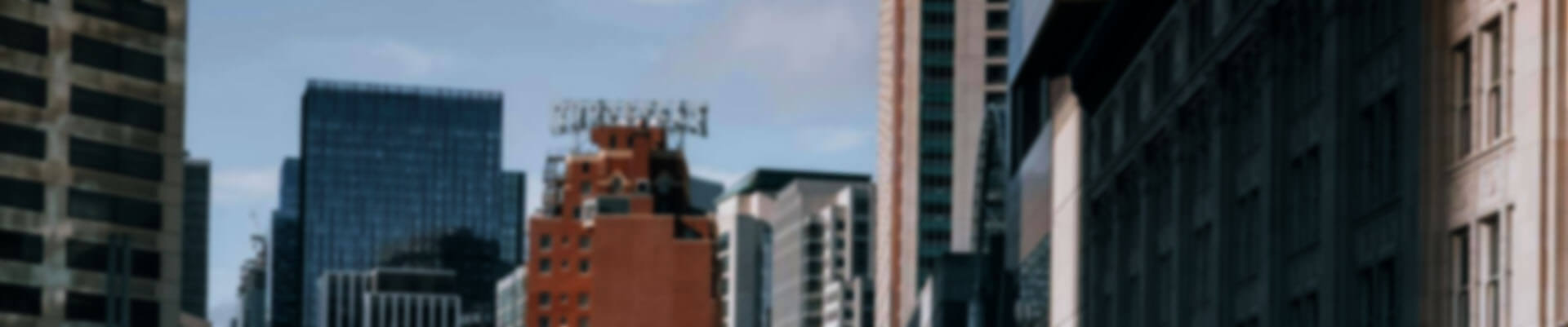 合同会社フェニックス