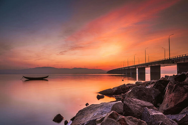 合同会社フェニックス